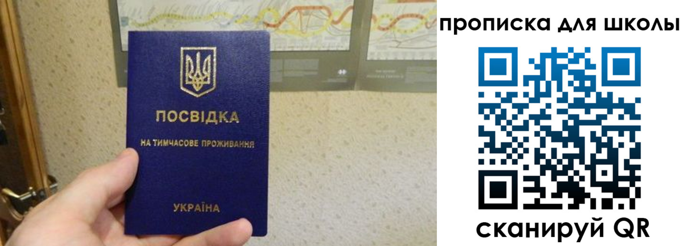 найти адрес прописки в Козловке